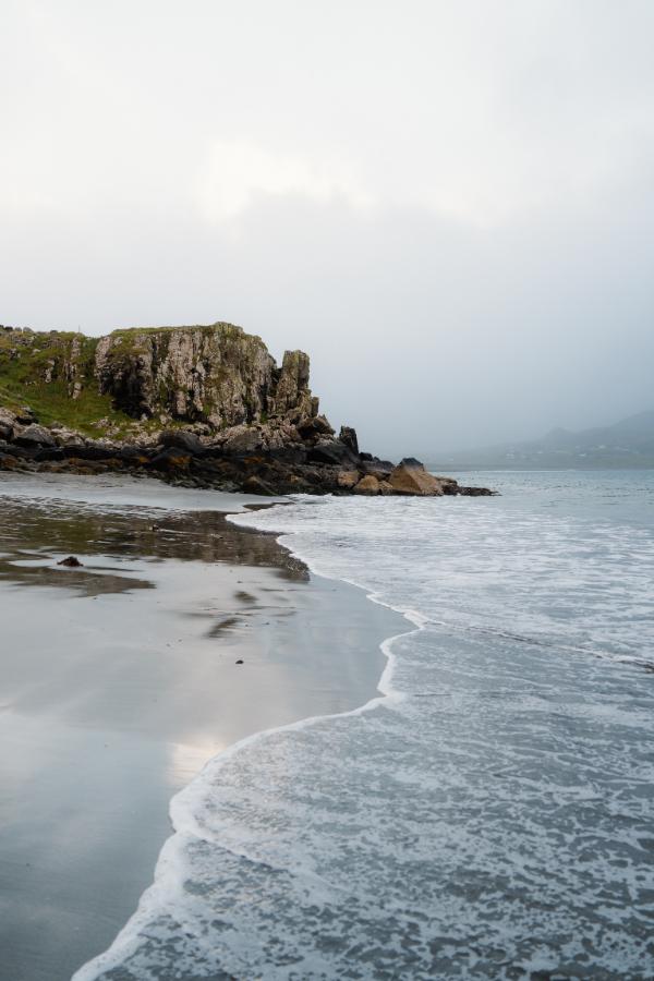 Walks, Wildlife and Nature
