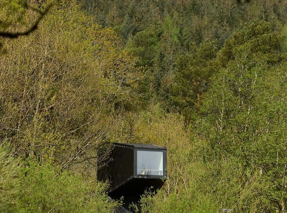 A dark timber cabin with a glazed end is glimpsed through dense woodland.