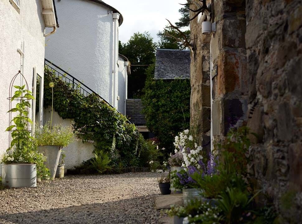 A gravel path runs along a stone wall past potted plants and a rose bush, steps curving up beside a white harled building.